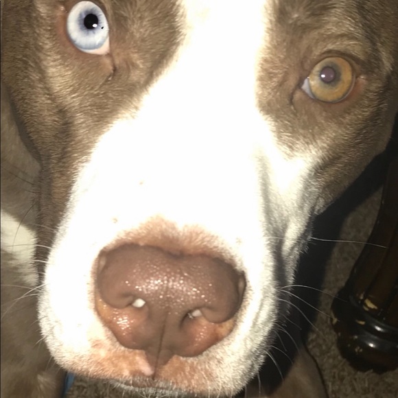 Meet your Posher, Nancy - Picture 8 of 8